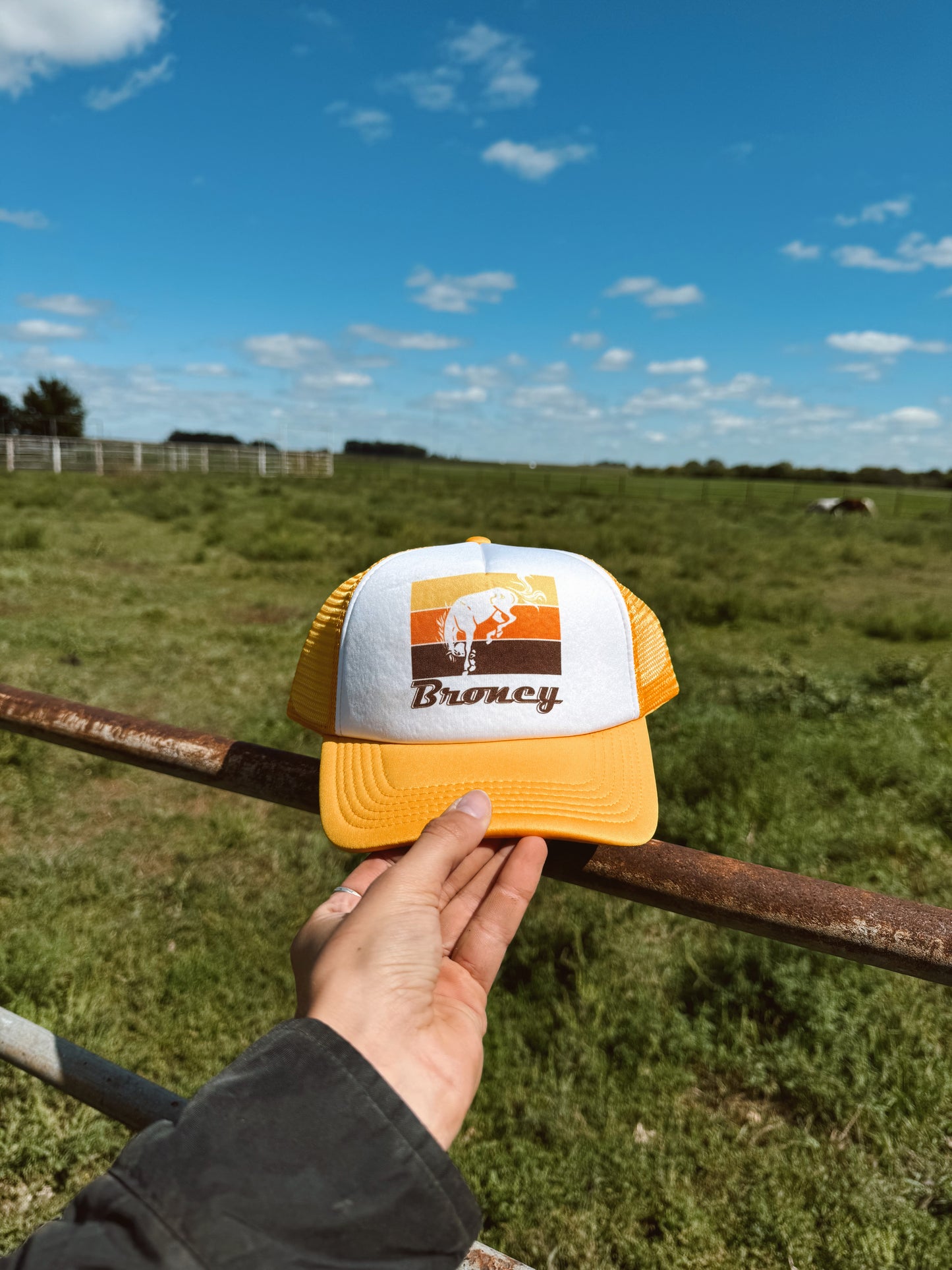 Broncy Hat