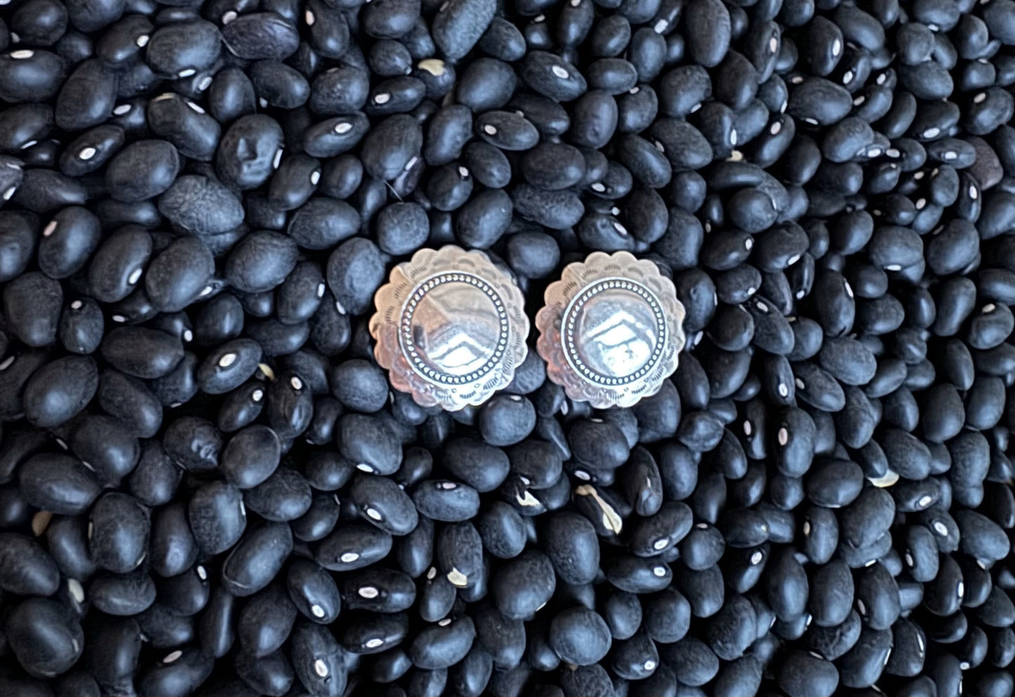 Sterling Silver Earrings