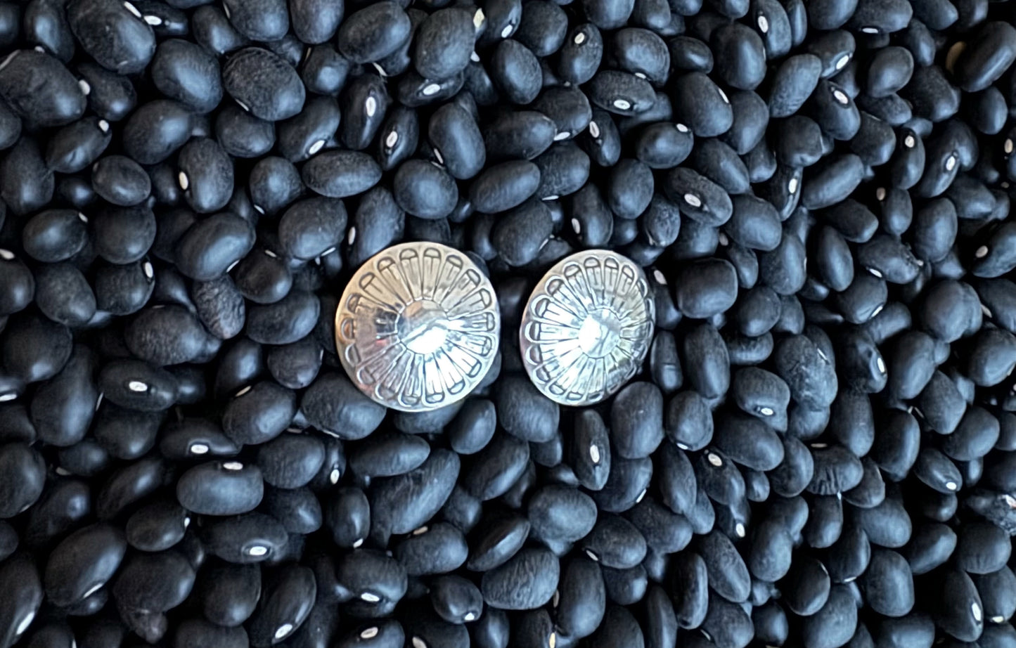 Sterling Silver Earrings